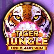 Cá cược đá gà cựa dao win555