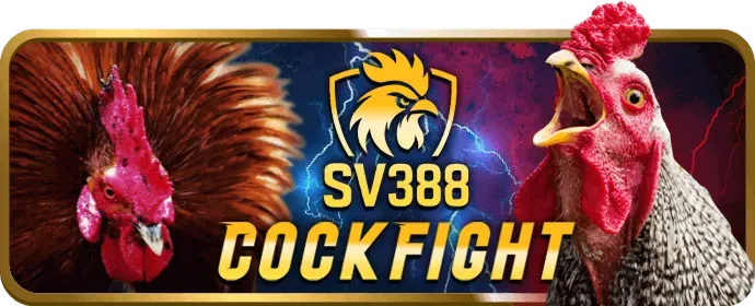 Sòng bạc trực tiếp VIP win555 APK